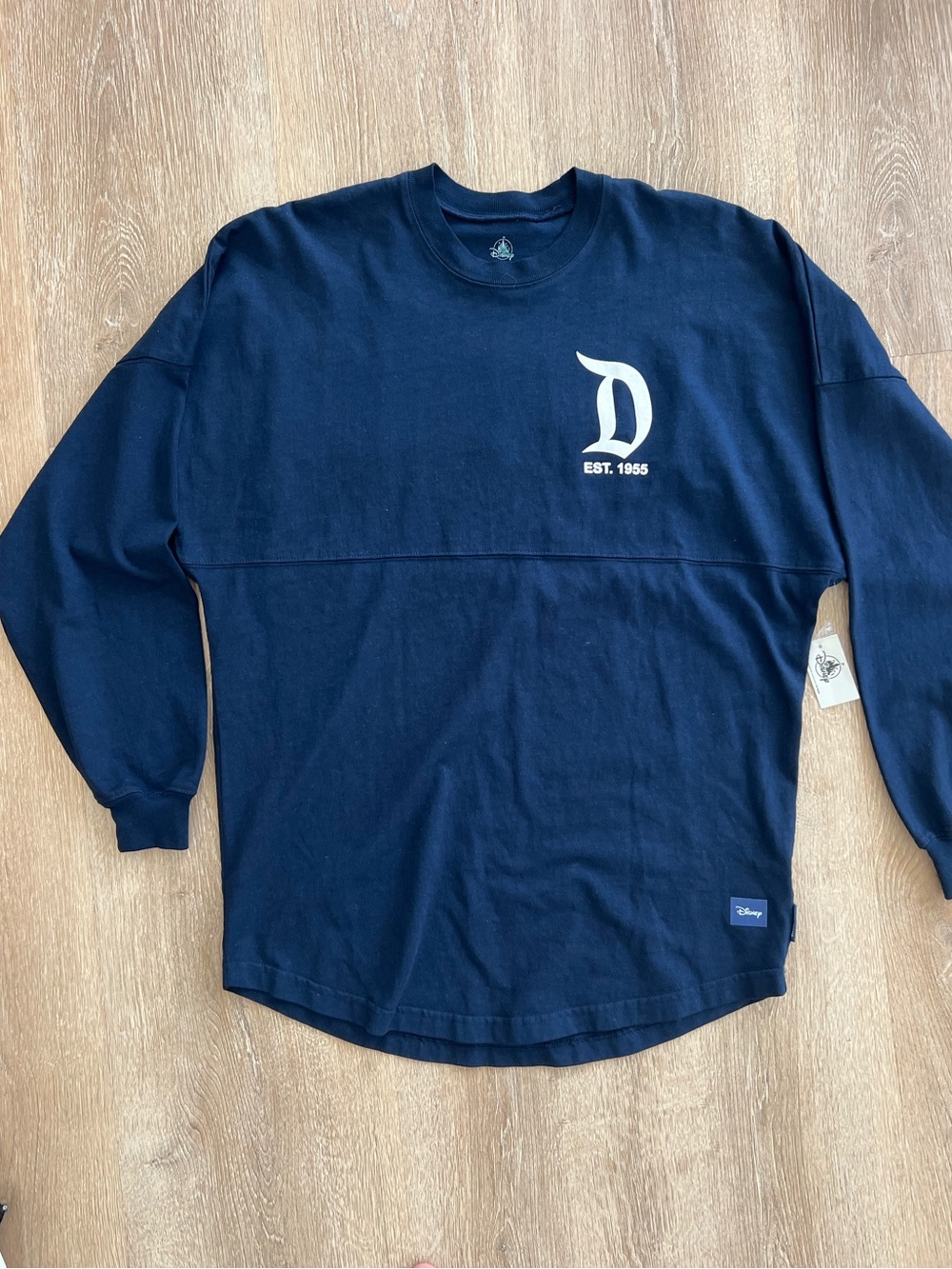 Disneyland Spirit Jersey Navy